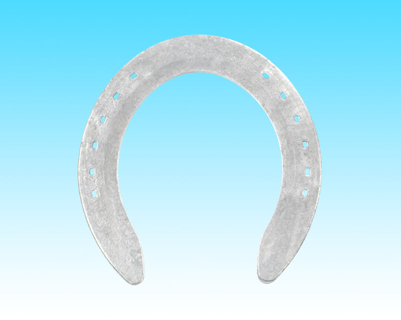 Steel Pleasure Hind (15 Pairs/Box)