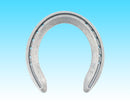 Steel Pleasure Hind (15 Pairs/Box)