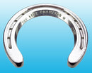 Lite Champion S/C