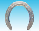 Wide Web Queen Hind XT (10 Pairs/Box)