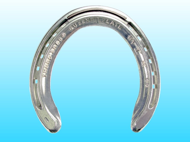 ED Queen Right/Left Hind T/C (10 Pairs/Box)