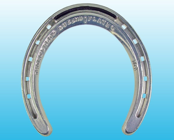 Queen Hind T/C (10 Pairs/Box)