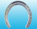 Queen Hind XT T/C (10 Pairs/Box)