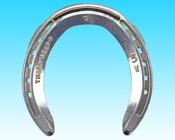 Wide Web Plain Hind S/C (10 Pairs/Box)