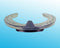 Wide Web Plain Hind T/C (10 Pairs/Box)